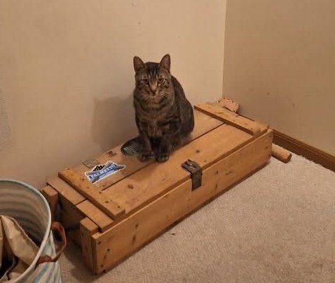 I4m166's tweet photo. "#WhereDidWeSpawn = W. I.D.'d here - We Saw - Np.
#NoobMysteryBox." = Ox, "Sry-Bet, My Boon."
389 s. - 102 s. #MeowMix = 287 s.
287 = I Was Never #ToldTheTruth
287 = D. "The strong arm of the #law-O.T."
287 = Yeshua, "I Am #ListeningToYou."
287 = O.-R. "One #Herald sent forth of god. = #ThankYouForEverything."
287 = I. -> #WakeUp sweating and in angst = you're not #Entitled either.
287 = Capital #Management, "Avoid the Cycle.. . = The Manifestation #OfTruth. = The secret of it all - is in the #Pi."
"#Alex, Capital Management has no say in what we do." = J. "President Donald Trump (#VS) America Gain M.A.K. Age & #Rate."
#Alex, "I can't stand any of you and you #KnowWhy = J.C.³⁶."
"...Lord my #God - I called to you for help and you #HealedMe.. = ..they really think they are #InFullControl." V.