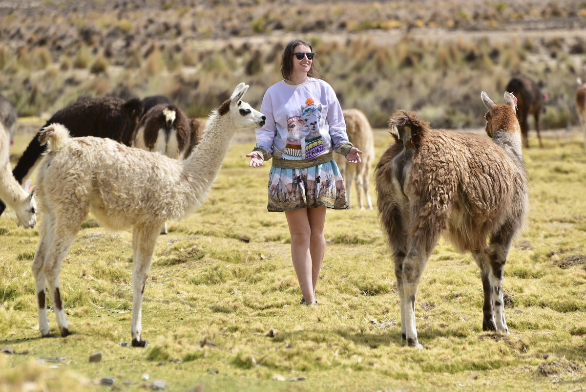 JaeRaePhoto's tweet photo. #Bolivia #futuroseguro del naturaleza de tierra tan preciosas! Let’s maintain a future of natural land of Bolivia as beautiful as it is today. The #adventuretime of rugged wilderness matched with epic earth roads that will keep you up until tarmac arrives. #genial #llama #tierra https://t.co/e4XQjnxddc