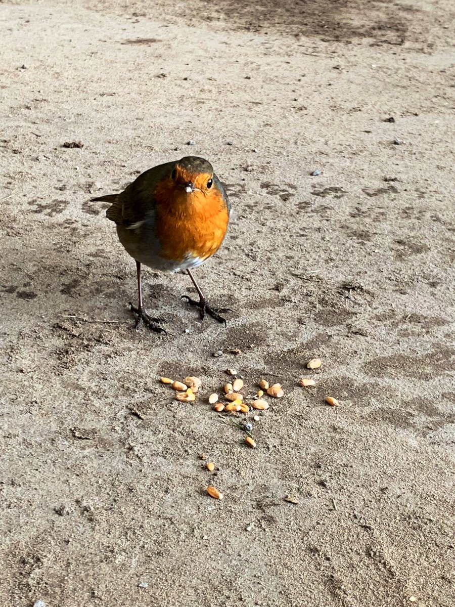 Steven🤟🏻 tweet media