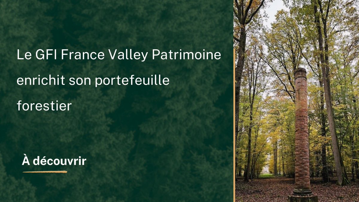 MeilleurGF's tweet photo. 🌳 France Valley Patrimoine passe à l'action !
Avec l'acquisition de la forêt de Châtres, le GFI France Valley Patrimoine enrichit son portefeuille avec un actif exceptionnel de 1 100 hectares.
👉 Découvrez les détails de cette opération stratégique ici : https://t.co/g5zeMhwtVS https://t.co/ZNUIrKSZKR