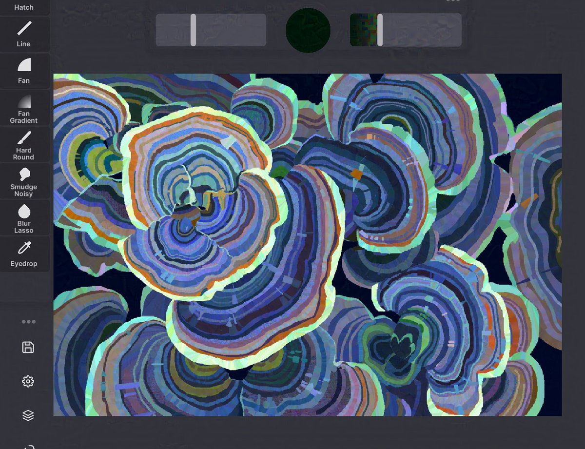 frozensoba's tweet photo. patterns in nature #heavypaint https://t.co/fbpTJIGa5g