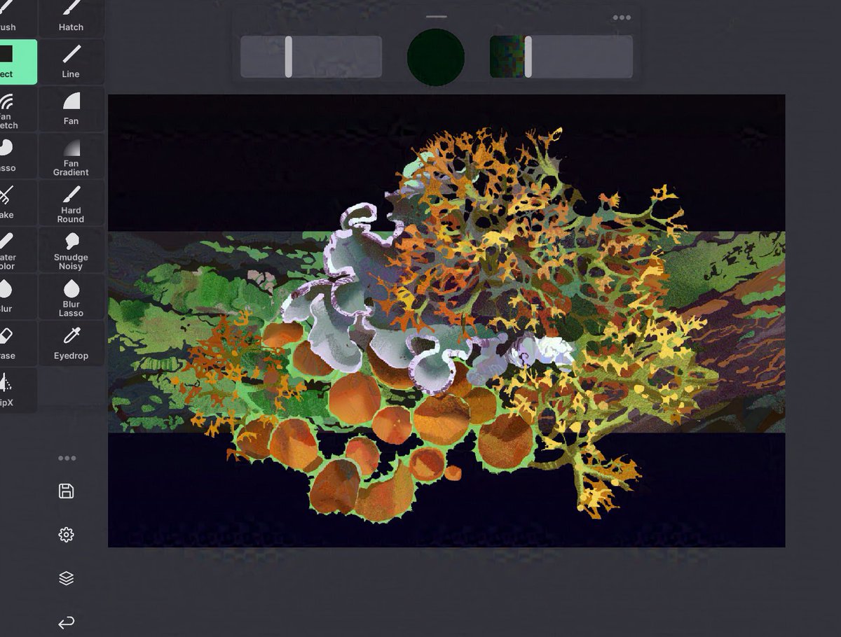 patterns in nature #heavypaint