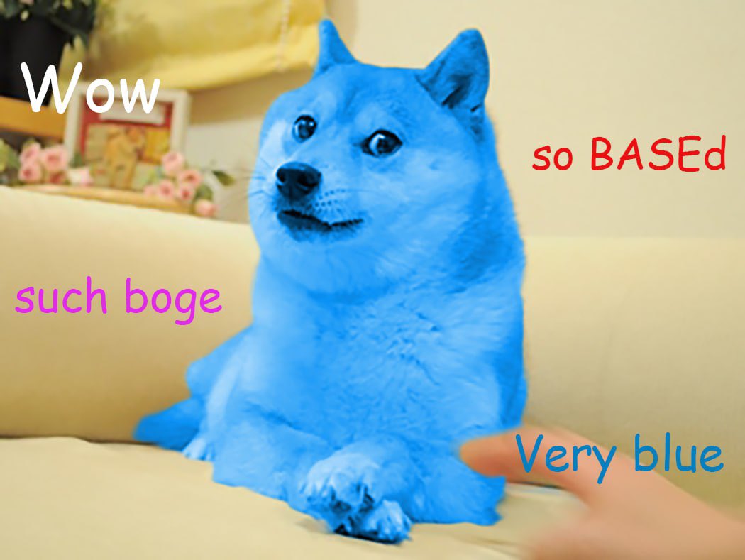 $BOGE || Base Doge tweet media