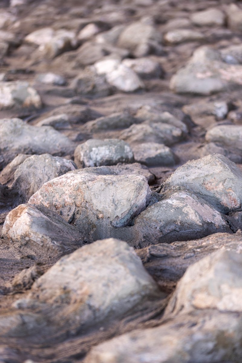 Nathan Poppe tweet media