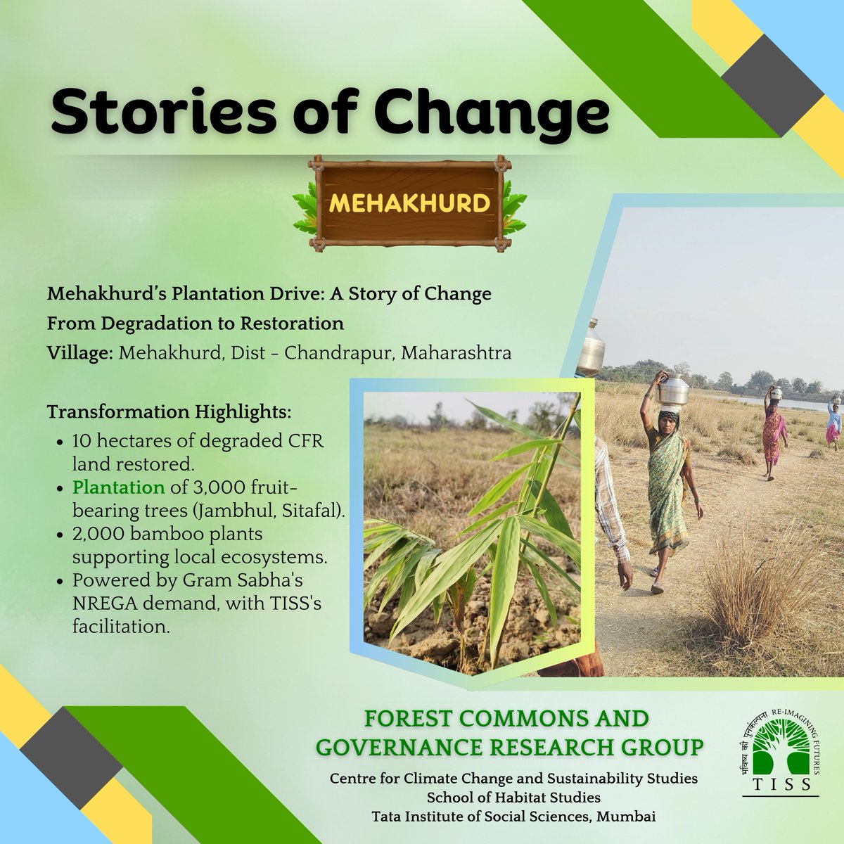 TISS_FRGProject's tweet photo. 🌟 Stories of Change: Mehakhurd 🌿
Through NREGA, the Gram Sabha, with TISS's support, restored 10 hectares of CFR land:
🌳 5,000 plants (Jambhul, Sitafal &amp; Bamboo)
👩‍🌾 Local jobs for 40 families, esp. women
🏡Reduced migration, revived livelihoods!
#ForestRights #StoriesOfChange https://t.co/1AGZRajZ8e