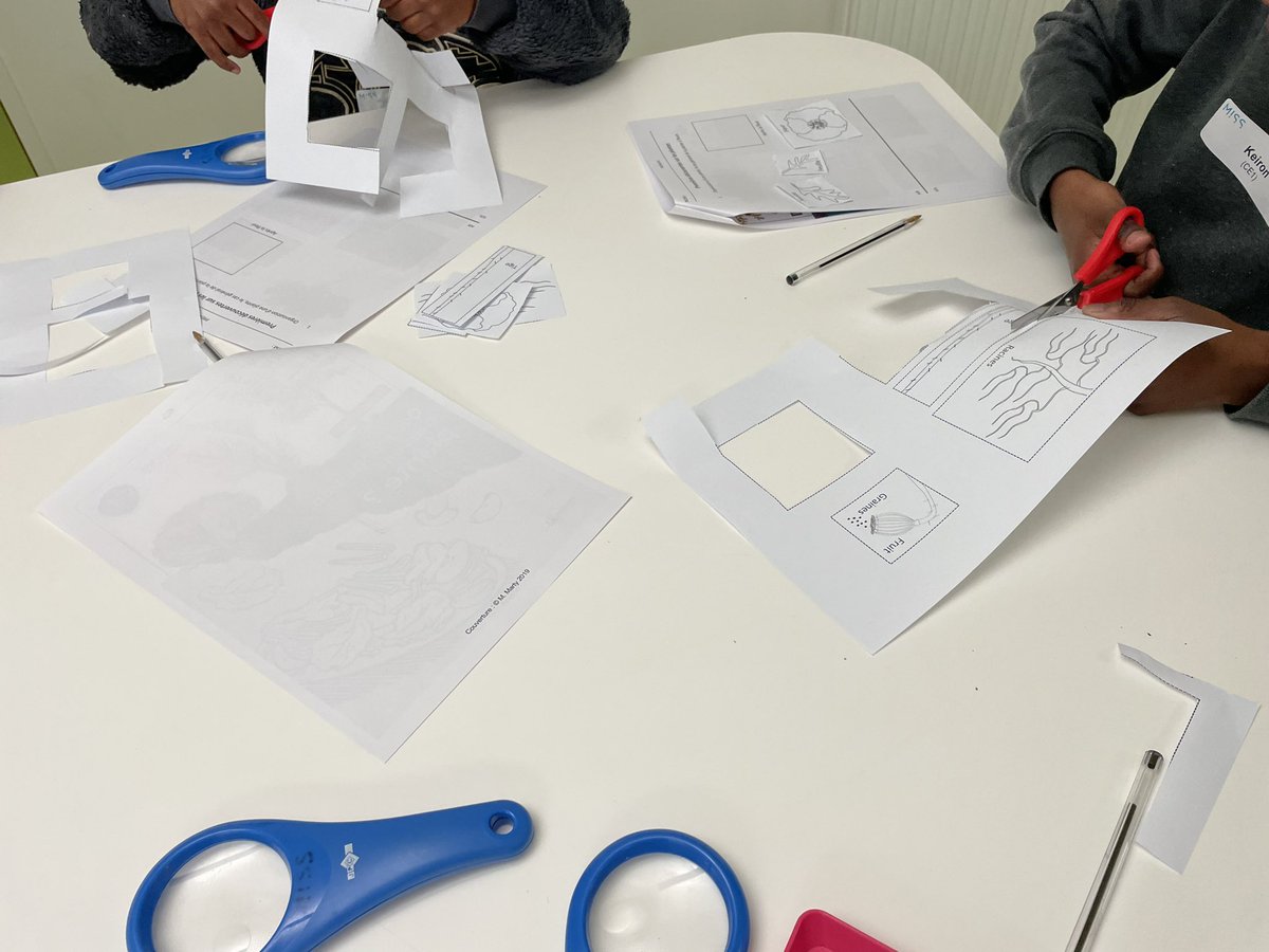 MISS_sciences tweet media