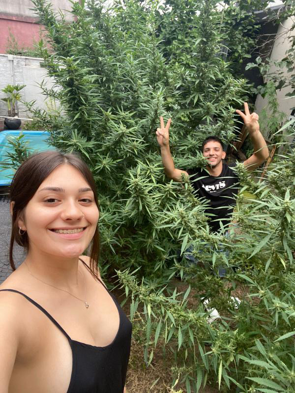 revistaTHC's tweet photo. 📸 LA FOTO THCERA 📸

🌊 Taiel y Bianca, del cultivo derecho a la pileta 🌊

🌿 ¡Mandanos tu foto por privado! 🌿

#fotos #comunidad #comunidadTHC

⚠️ Todo el material compartido por @‌revistathc tiene fines únicamente periodísticos e informativos. https://t.co/ex8sAf2TB8
