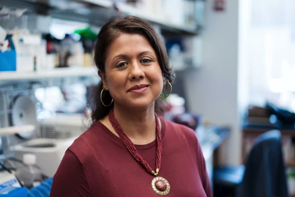 Memorial Sloan Kettering Cancer Center (@mskcancercenter) on Twitter photo A new study led by MSK computational biologist <a href="/kanikaarora316/">Kanika Arora</a> and MSK molecular geneticist <a href="/CDebyaniPhD/">Debyani Chakravarty, PhD 🇺🇦</a> uncovers why new precision oncology treatments benefit patients of some ancestries more than others.
"We need to learn from patients from diverse and underrepresented A new study led by MSK computational biologist <a href="/kanikaarora316/">Kanika Arora</a> and MSK molecular geneticist <a href="/CDebyaniPhD/">Debyani Chakravarty, PhD 🇺🇦</a> uncovers why new precision oncology treatments benefit patients of some ancestries more than others.
"We need to learn from patients from diverse and underrepresented