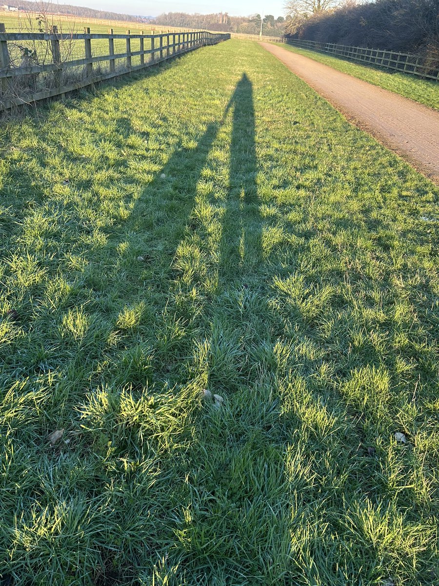 mickfox200's tweet photo. Meandering with #theapprenticeβ¦
#meandmyshadow π§‘πΎπ§‘πΎ https://t.co/j3QLtQfYhC