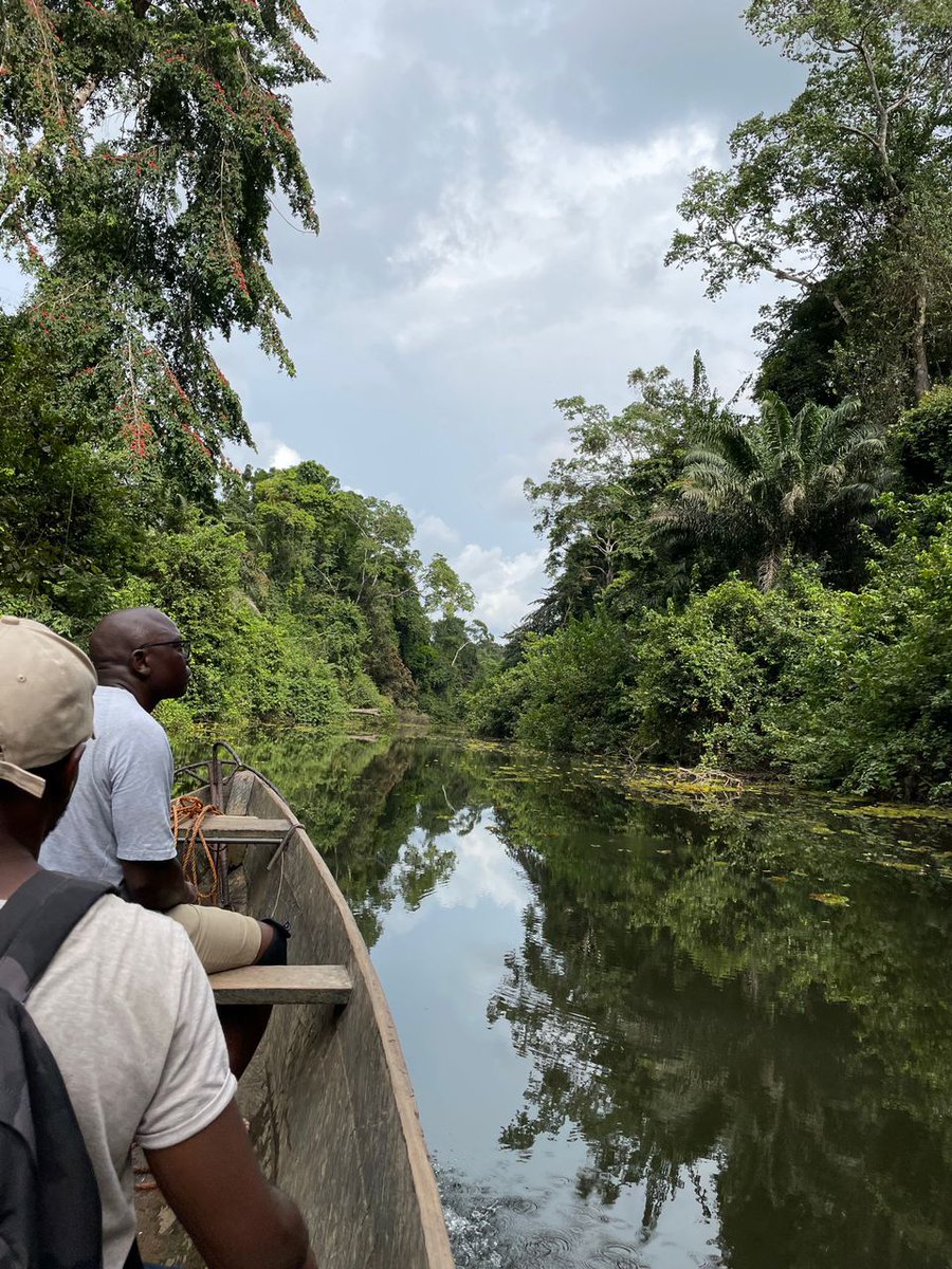 MUT À NGOSO 🌚🛶🇨🇲 tweet media