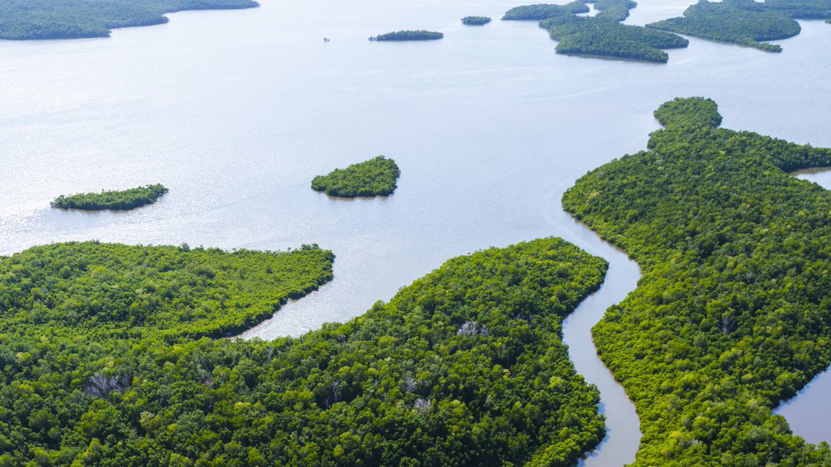 Congratulations @AGAshleyMoody on your appointment to the U.S. Senate. The Everglades Foundation looks forward to working with you to restore and protect America's #Everglades.