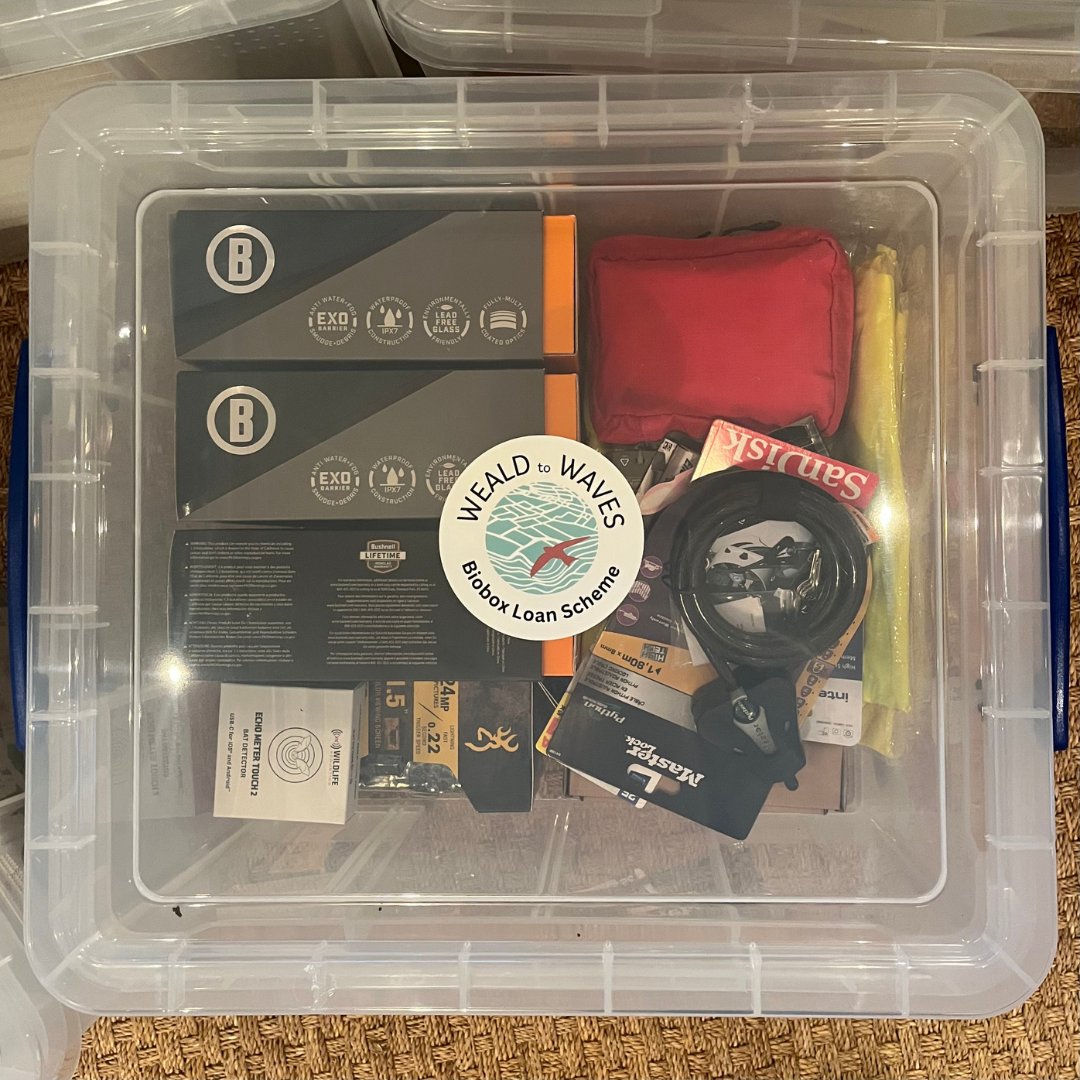 WealdtoWaves's tweet photo. The Weald to Waves team has developed the brilliant BioBox loan scheme, providing kits with ecological survey tools to support wildlife identification, from educational bioblitz events to long-term monitoring.

This project has been generously supported by @LloydsBank . https://t.co/XxbX70dRSP