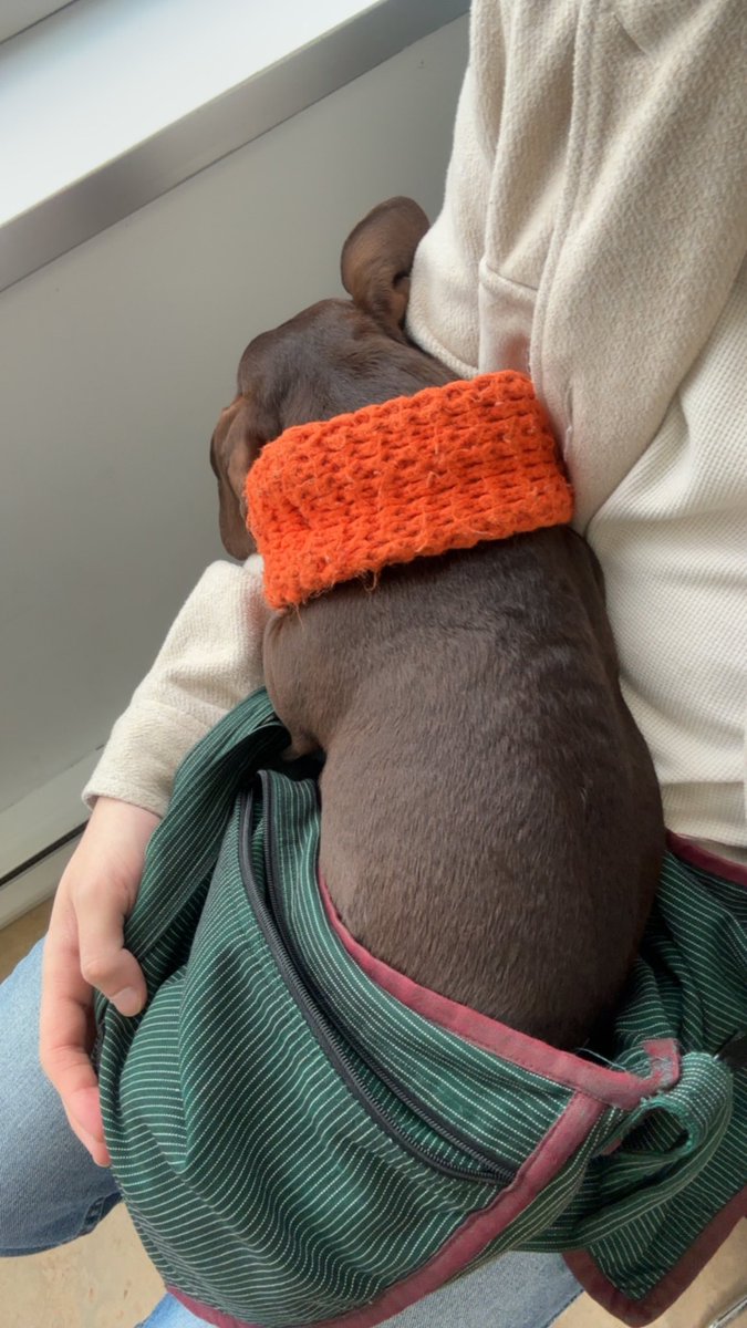 Happy Thursday! From my wiener to yours