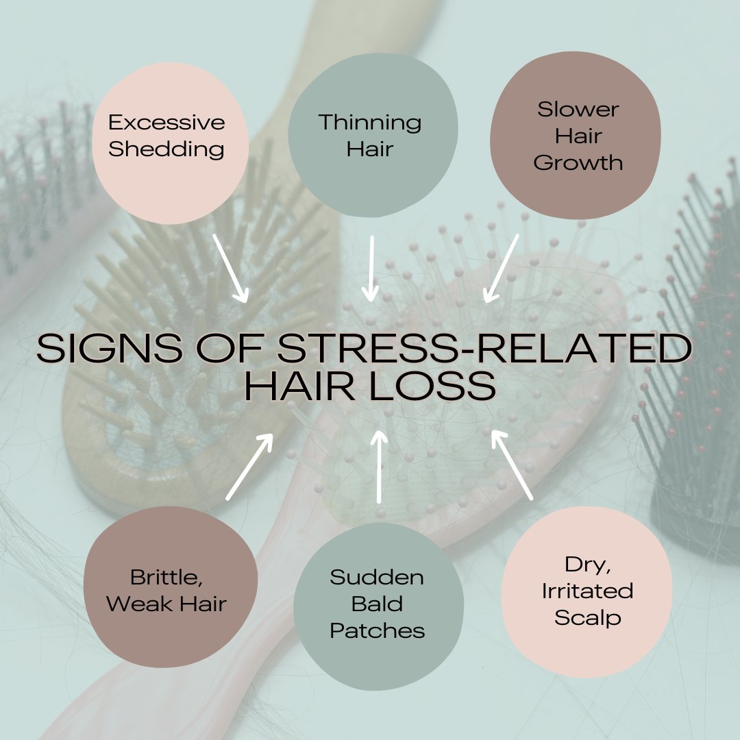 EarthtonesNtrls's tweet photo. Stressed out? Your hair might be feeling it too! 😩 ⁠
⁠
But don't worry, we've got you covered! Check out our latest post about Hair Loss!⁠
⁠
Take the stress off your hair, and book your treatment at TrichoSpa today!⁠
⁠
https://t.co/lzbhcSLO3Q⁠
⁠ https://t.co/JU8YtNcJ8h