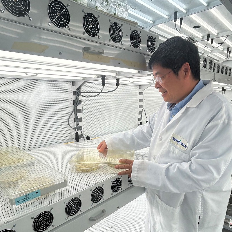 Syngenta tweet picture