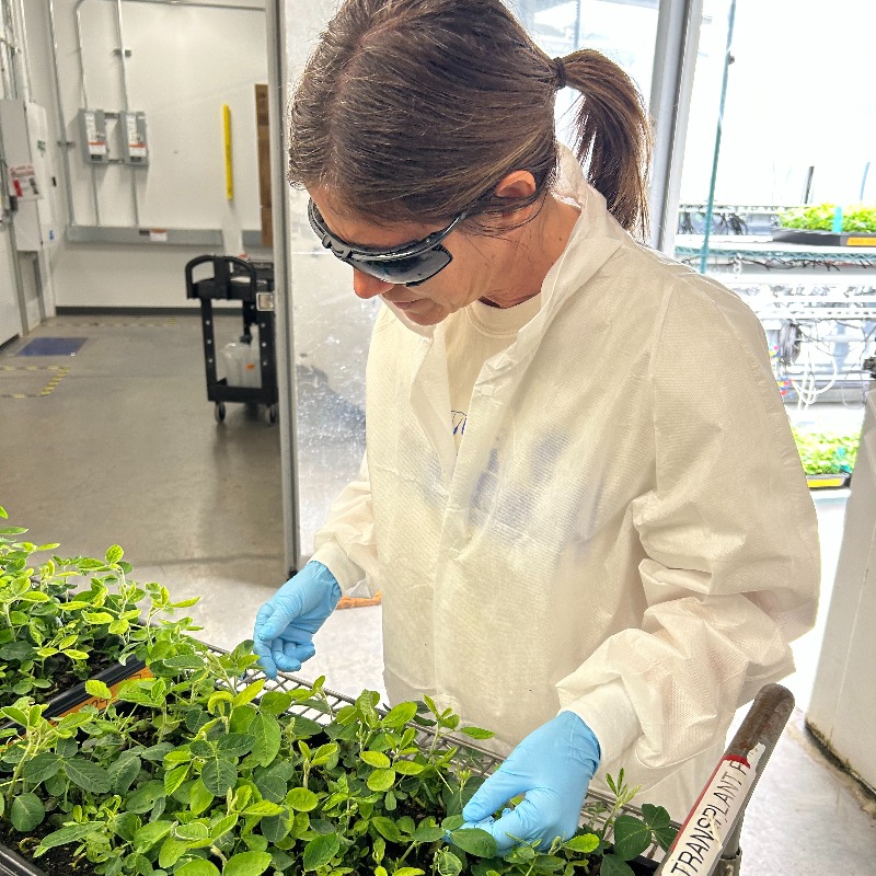 Syngenta tweet picture