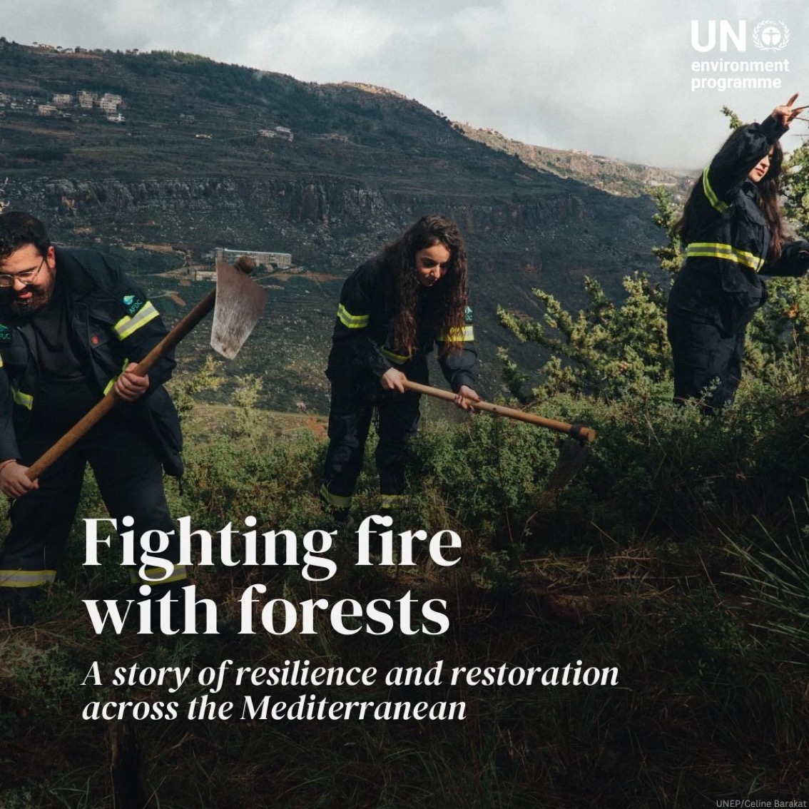 UN Biodiversity tweet media