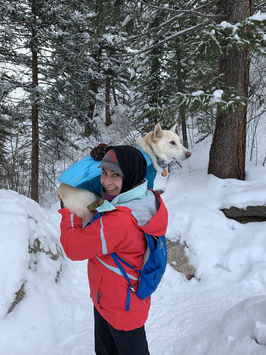 michaelsrwilson's tweet image. Dear Luke,
There are no words to express how much you meant to me and all gifts you gave me but I will try my best.
For the past 13.5 years you were my best friend. You were there for Mom in vet school, you were there for me when I started training, you took on the role of…