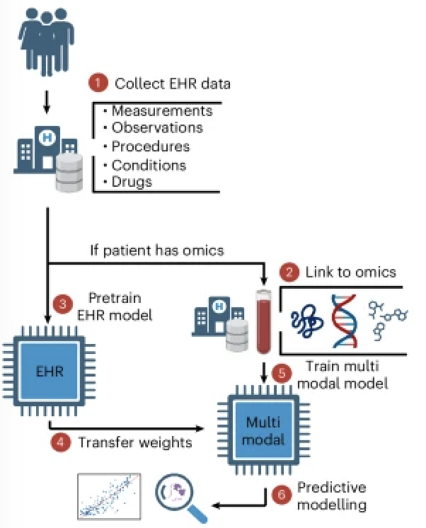 Nima Aghaeepour (@nimaaghaeepour) on Twitter photo Collecting #omics data is expensive, but #EHR data is available for large patient cohorts for free!
In our latest <a href="/NatMachIntell/">Nature Machine Intelligence</a> paper, we show how deep learning + EHR data can supercharge omics models. Hard work by (soon to be Dr.) Samson Mataraso:
nature.com/articles/s4225… Collecting #omics data is expensive, but #EHR data is available for large patient cohorts for free!
In our latest <a href="/NatMachIntell/">Nature Machine Intelligence</a> paper, we show how deep learning + EHR data can supercharge omics models. Hard work by (soon to be Dr.) Samson Mataraso:
nature.com/articles/s4225…