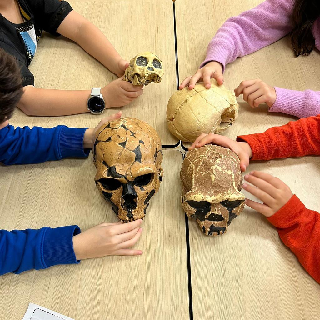 ImmaVedruna's tweet photo. #4tPRIM s'inicia en el coneixement de la Prehistòria amb un taller de Schola Didàctica Activa: els homínids, els hàbitats i les eines del Paleolític i el Neolític.
@ActivaScho14098 https://t.co/HXMoTAcBBZ