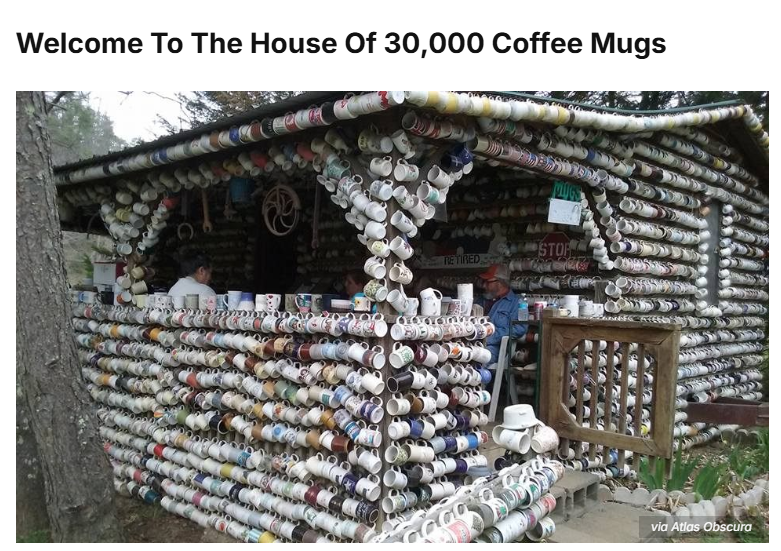 Will Staunton tweet media