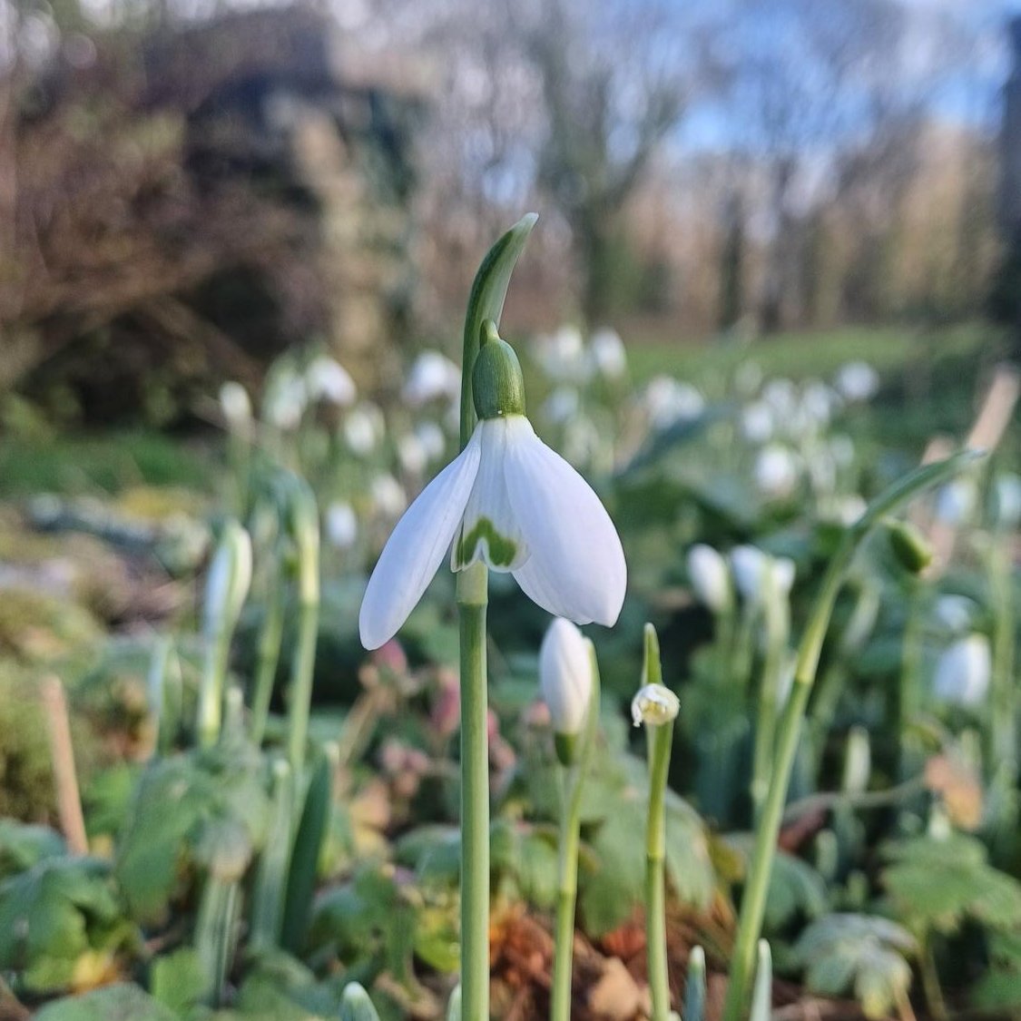 National Trust South West tweet media