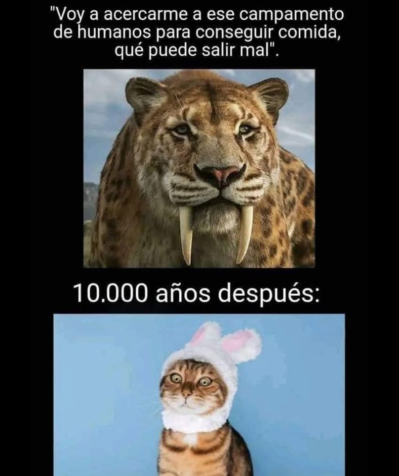 Enséñame de Ciencia (@ensedeciencia) on Twitter photo 