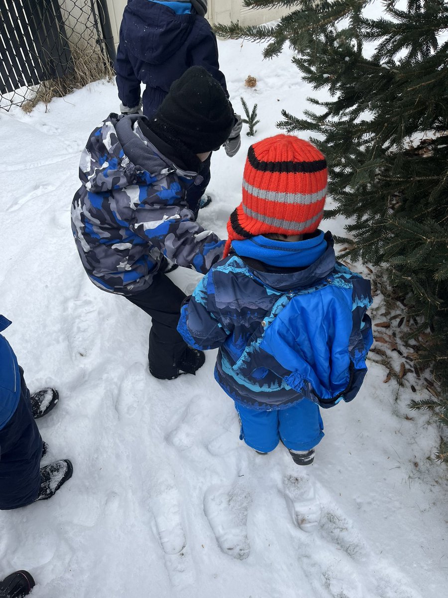 MissMertl's tweet photo. Outdoor learning is our favourite! “The tracks are leading us somewhere” we found and followed a bunny, dog and maybe a mouse! https://t.co/ojLpZ8q7cQ