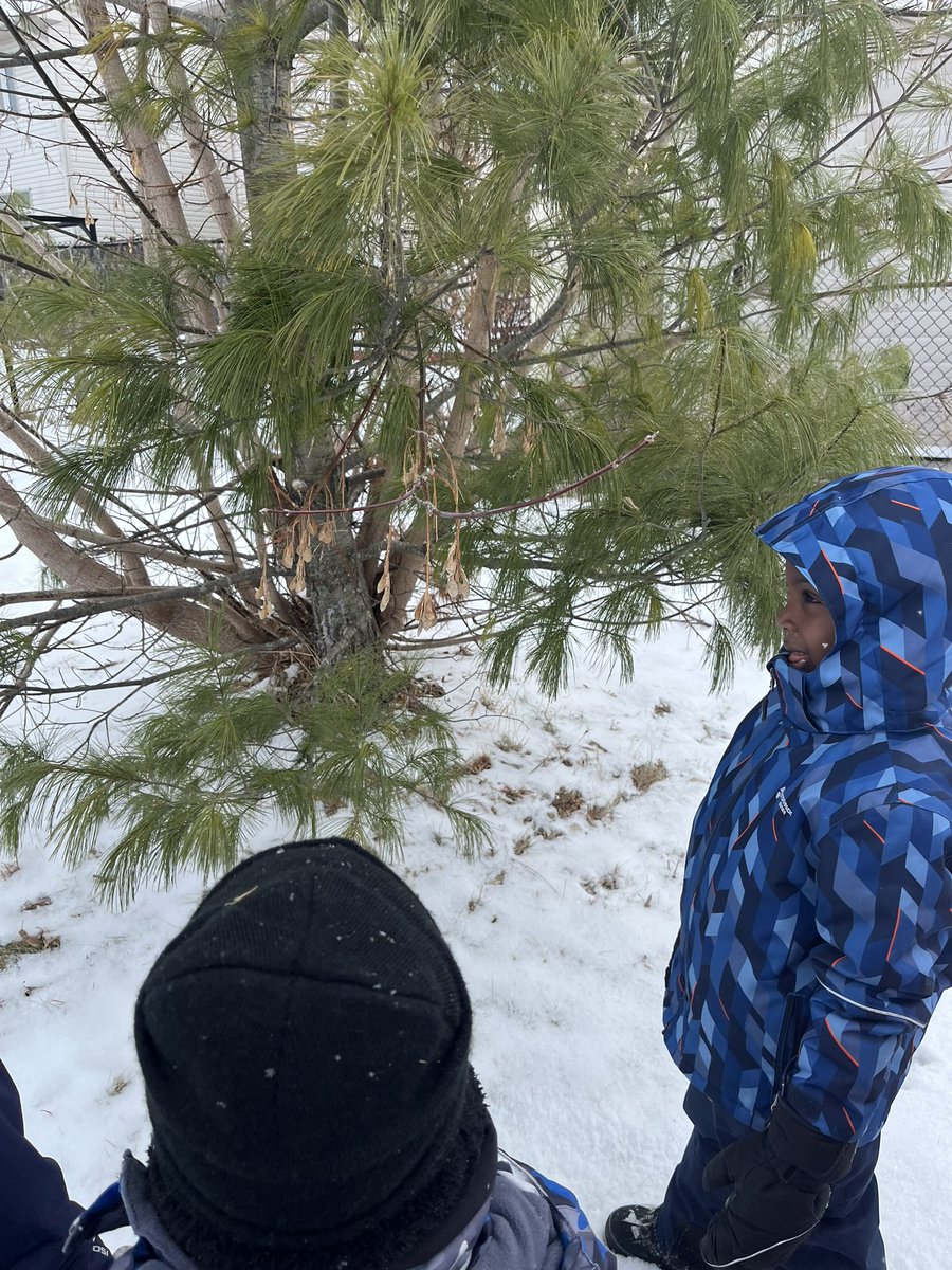 MissMertl's tweet photo. Outdoor learning is our favourite! “The tracks are leading us somewhere” we found and followed a bunny, dog and maybe a mouse! https://t.co/ojLpZ8q7cQ