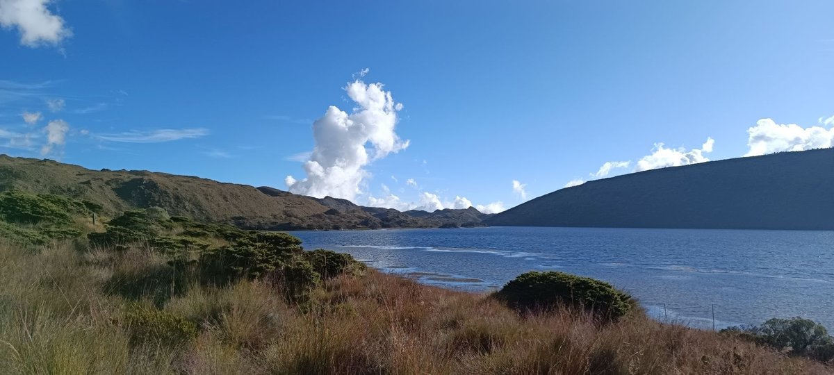 efigas_oficial's tweet photo. Por maravillas como el Parque Nacional Natural de los Nevados, seguimos inspirándonos y trabajando por la sostenibilidad de nuestro territorio.
Cuidemos juntos estos paisajes únicos que nos conectan con la grandeza de nuestra tierra 🌿✨.
#Efigas #Sostenibilidad #EjeCafetero https://t.co/OpXPVu3sED