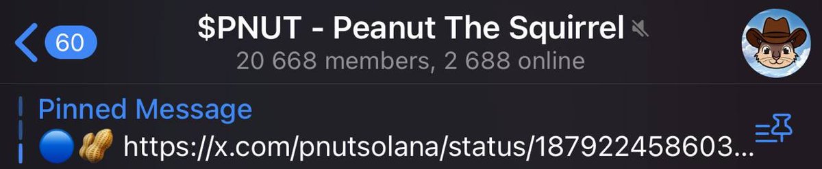 Well then, go on!

$PNUT 🥜🐿️