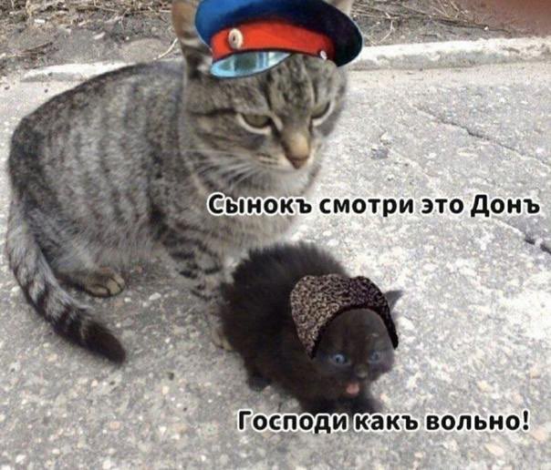 akonitmood's tweet photo. Каждый раз очень смешно https://t.co/RqPlan64v7