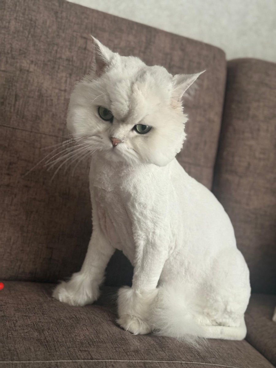 Öncesi/Sonrası 🥲