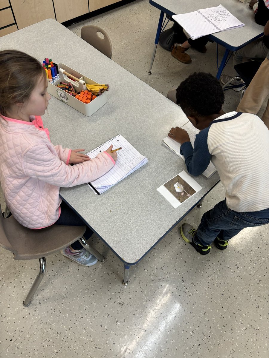 Kayla Stine tweet media