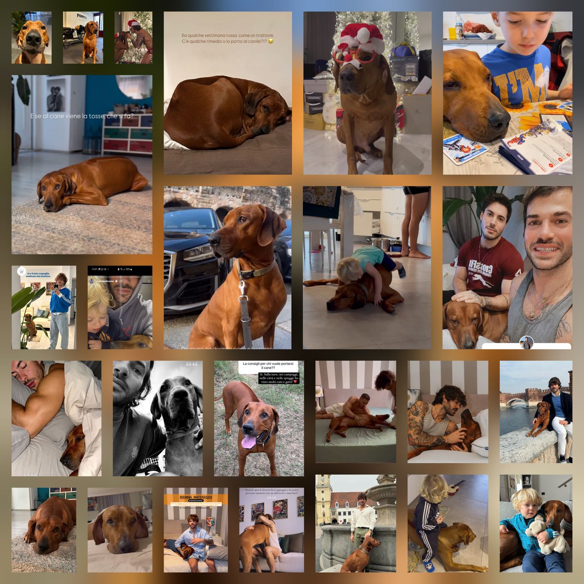 ClaudioeOscar's tweet photo. Buon Ponte Oscarino 😭😭😭😭😭💔💔💔💔 #claudiosona https://t.co/01S20WKBOA