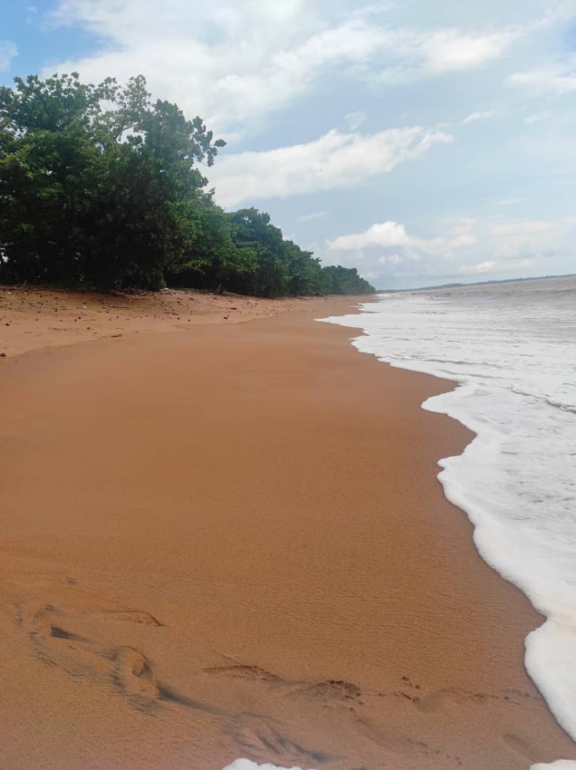 MUT À NGOSO 🌚🛶🇨🇲 tweet media