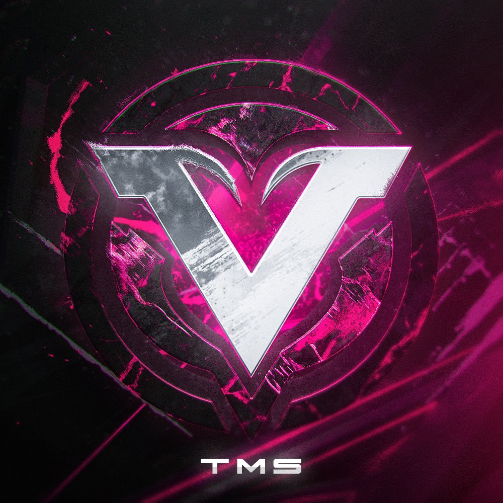 Avi for <a href="/VanguardTms/">Vision tms.</a>