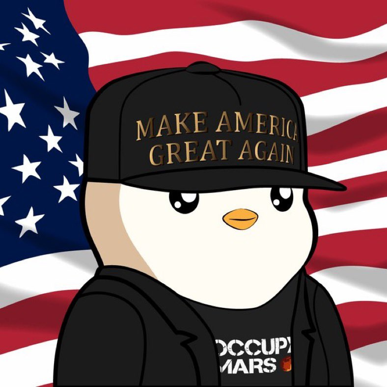 I think <a href="/elonmusk/">Elon Musk</a> should pfp a USA based crypto asset. Send a signal.