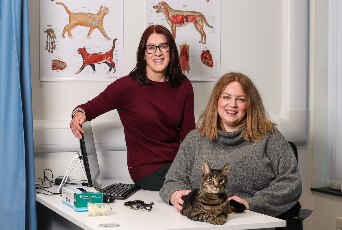 Ulster University tweet media