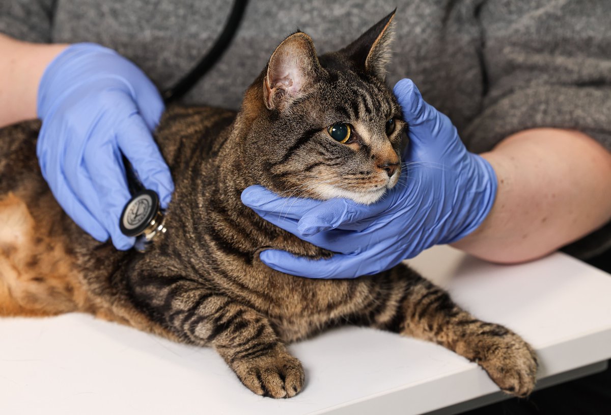 Ulster University tweet media