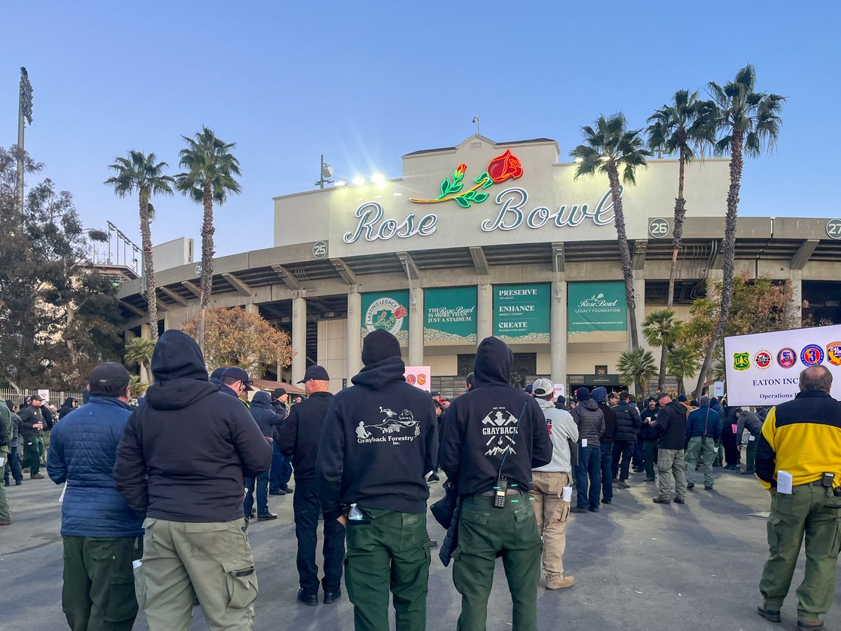 Grayback Forestry tweet media