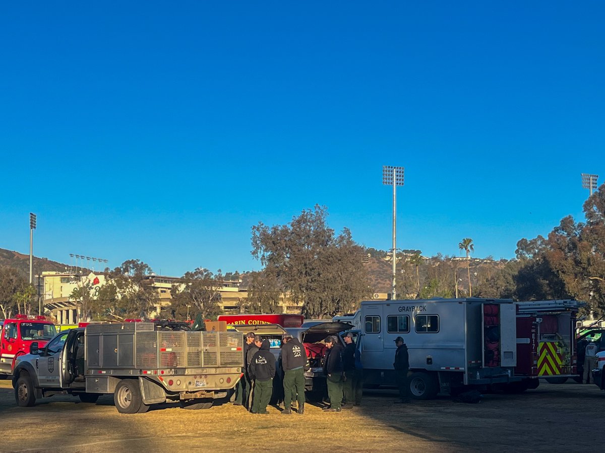 Grayback Forestry tweet media