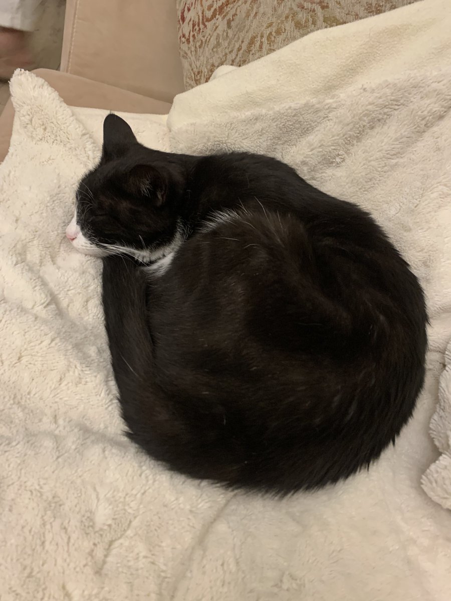 Katherine Sproule tweet media