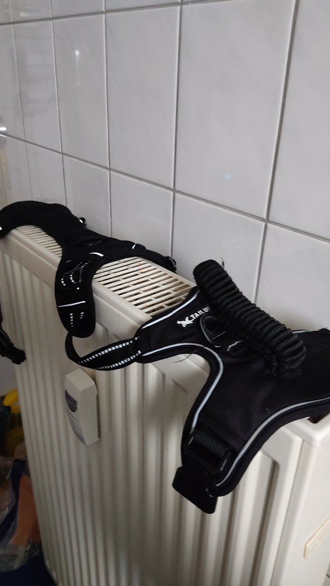 💓Rusty27102017 is back🐕‍🦺🫂💓 tweet media