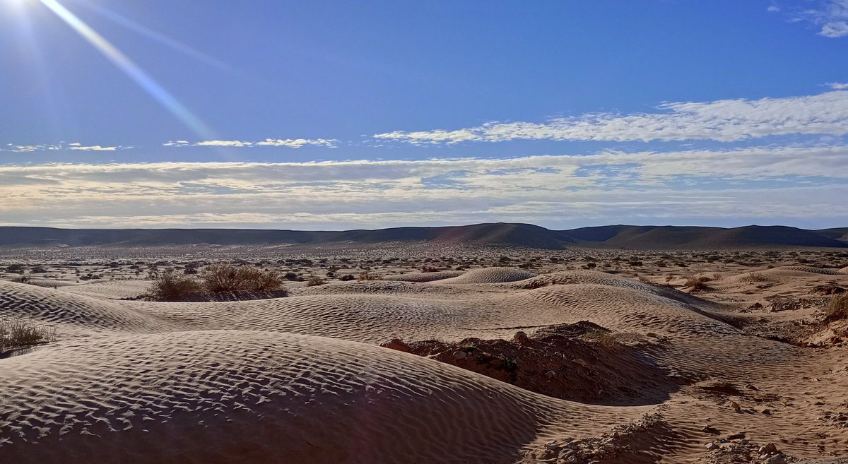 Martin Pitt tweet media