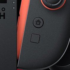 La Odisea De Los Memes & CuriBros tweet media