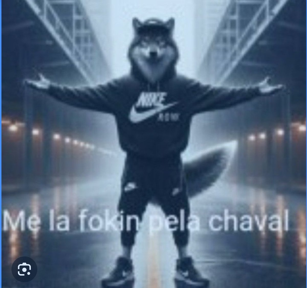 Roci R tweet media