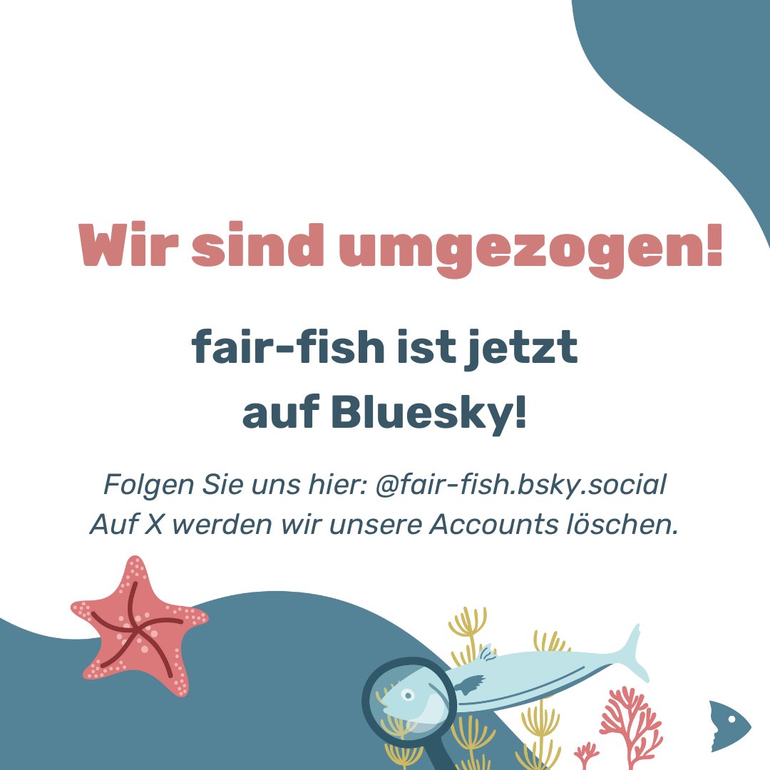 fair-fish tweet media