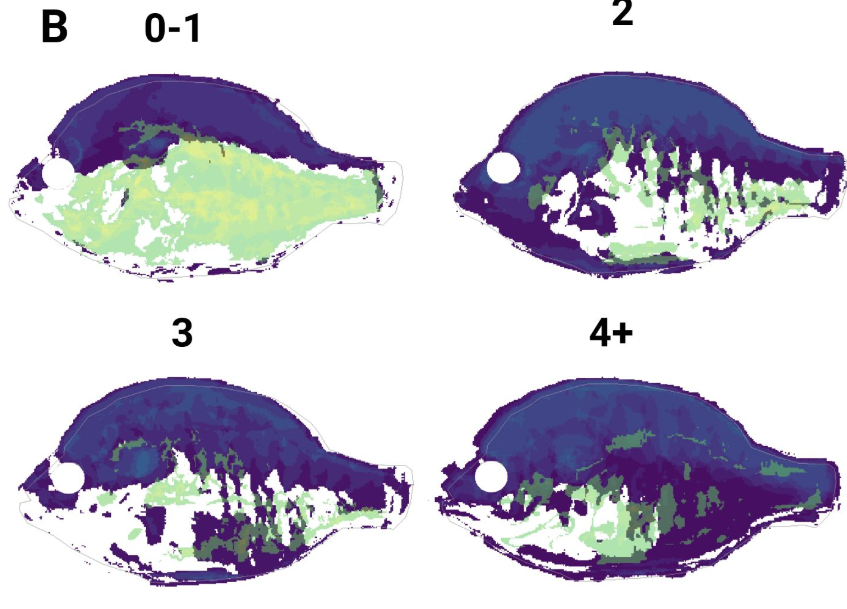 Sebastian G. Alvarado tweet media