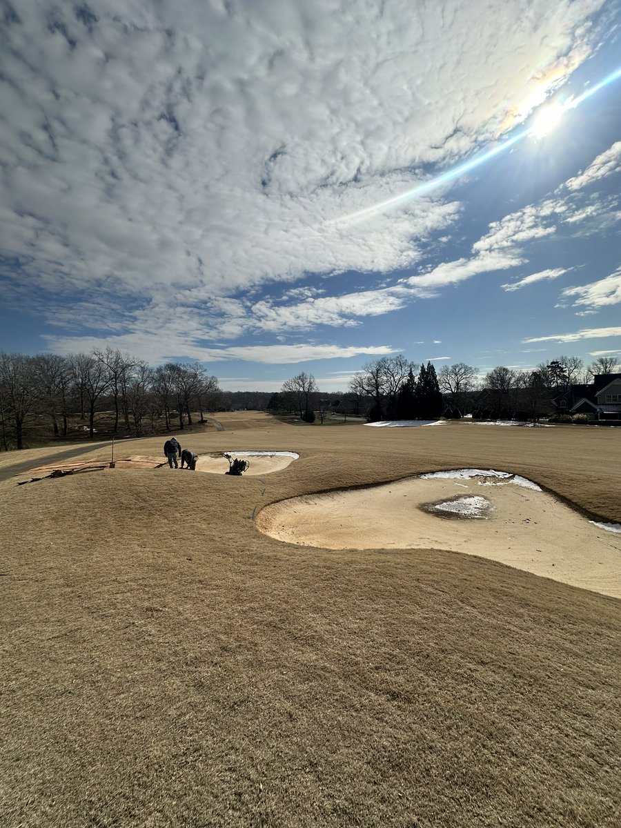 Matt Sorrell tweet media